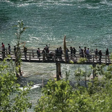 Branka - Tomi Drni - Siveri * Siveric