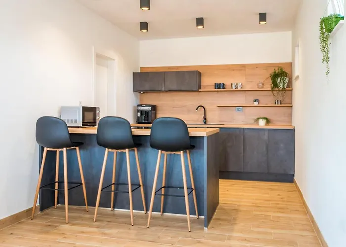 Branka - Tomi Drni - Siveri