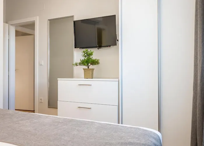 Branka - Tomi Drni - Siveri *