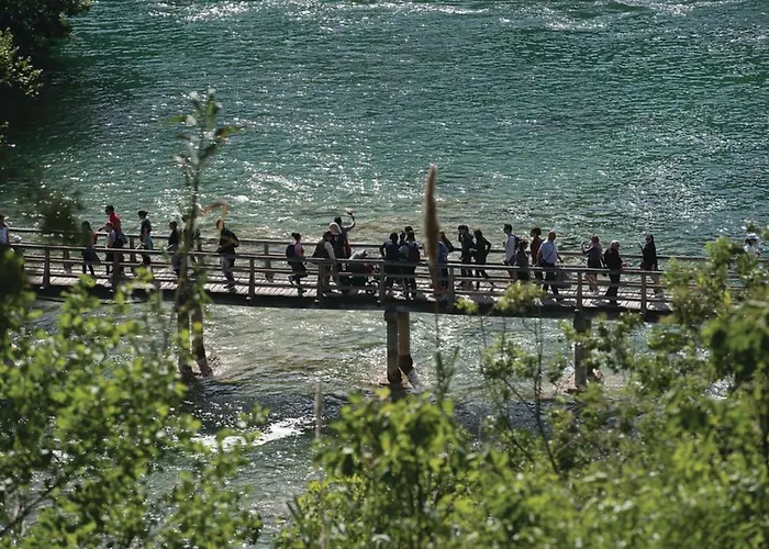 Branka - Tomi Drni - Siveri * Drniš